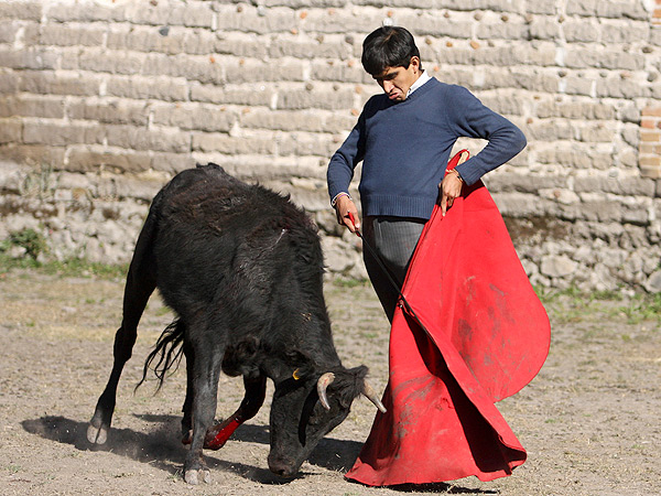 En la intimidad del campo