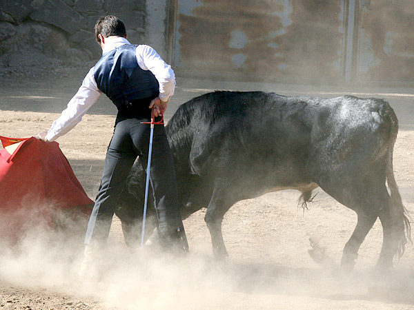 Lig� pases de calidad