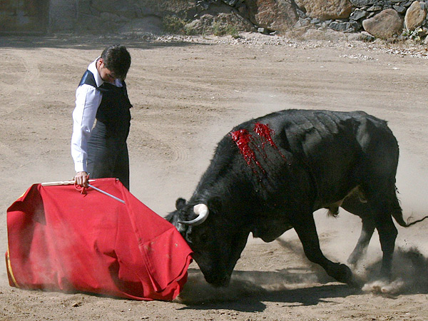 Toreando sin agobio