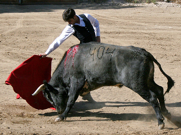 Alargando el muletazo