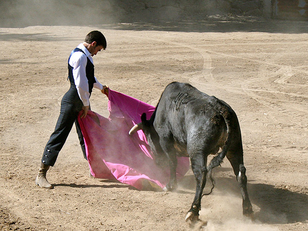 Jos� Mauricio con el capote