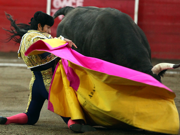 Joselito Adame, en su sitio