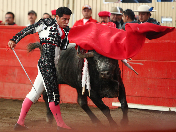 Reciedumbre e impacto