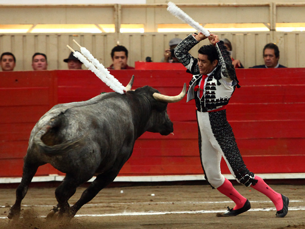 Exponiendo con las banderillas