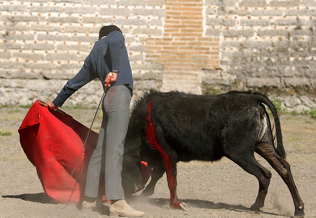 Una vaca con mucha clase