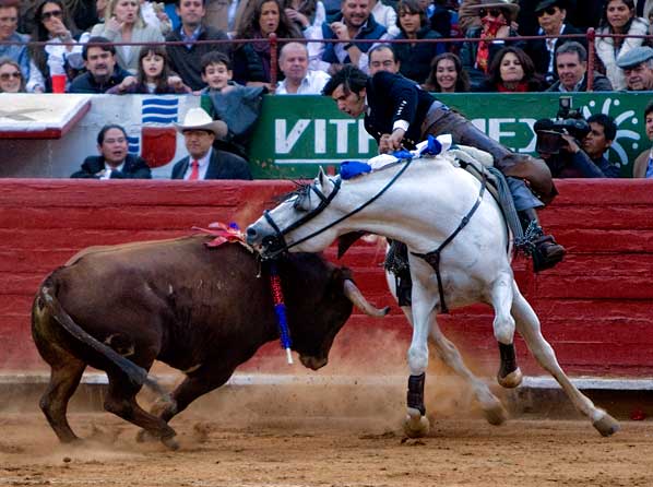 Mordiendo y evitando la cornada