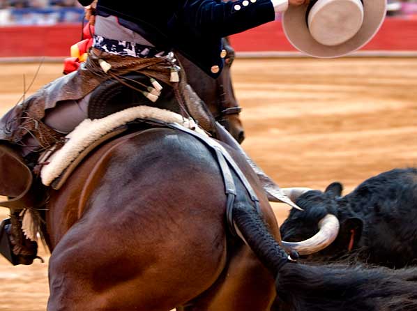 As� templa Ventura