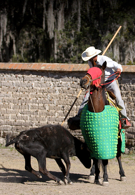Recargando con �mpetu