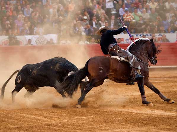 Encelando al toro