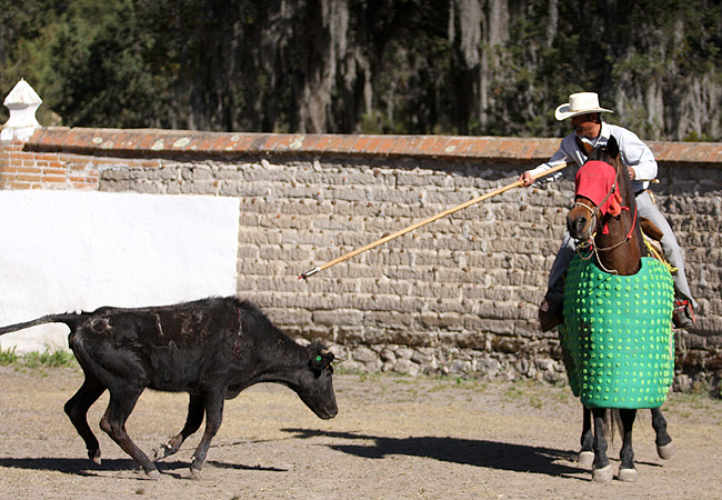 Descolgada ante el peto