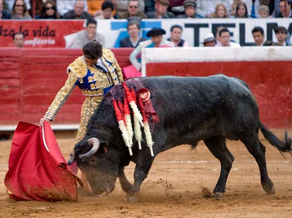 Metido en la muleta