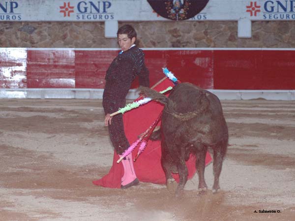 P�ndulo en los medios