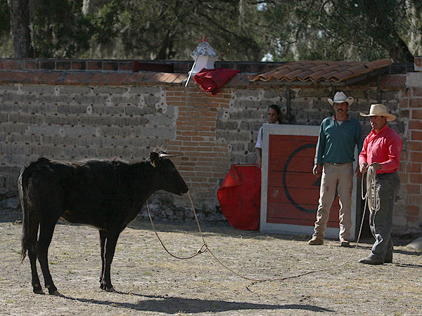 Una estampa campera mexicana