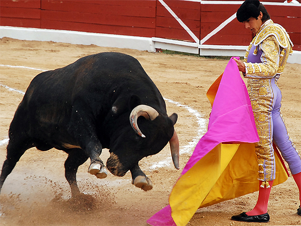 Castella y su capote