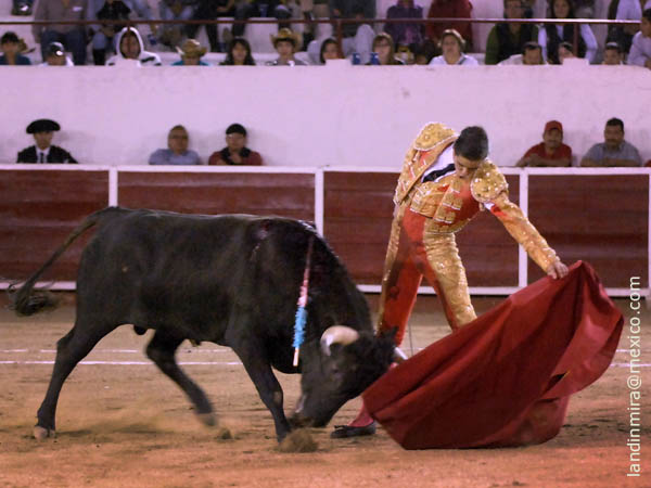 Tirando del ejemplar