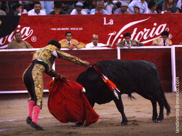 Un ca��n en el brazo