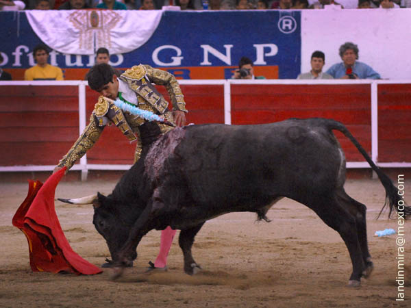 Derechazos al paliabierto