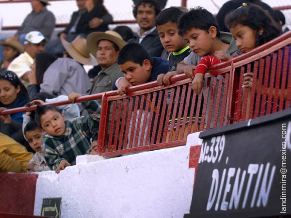 Haciendo afici�n nueva