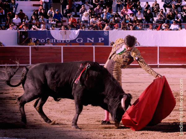 Dimensi�n a los naturales