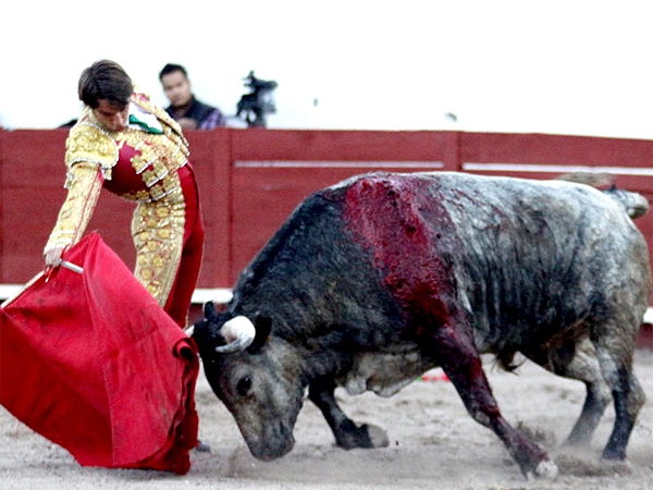 Toreando bien