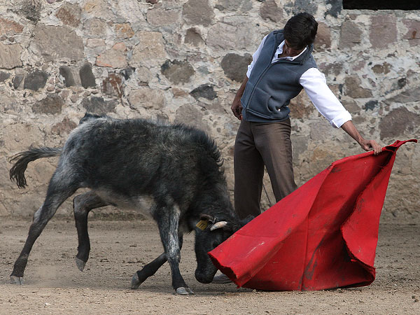 Extraordinario trazo