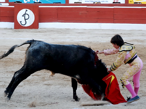 Ejecutando una estocada
