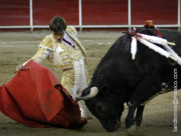 Arturo, derechazos de rodillas