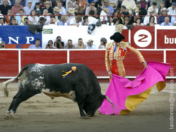 Desmayando los brazos