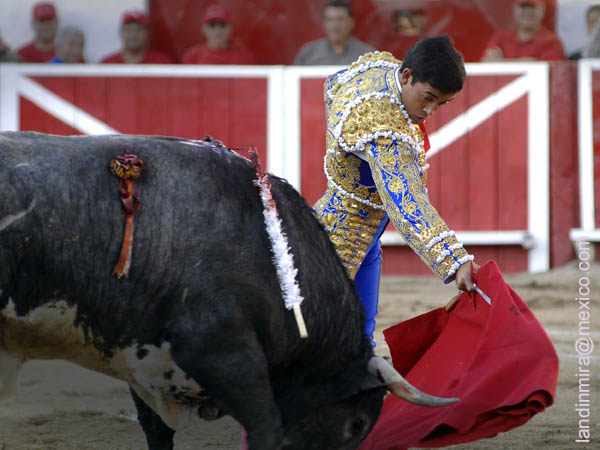 Tirando del ejemplar