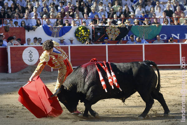 En el centro del albero