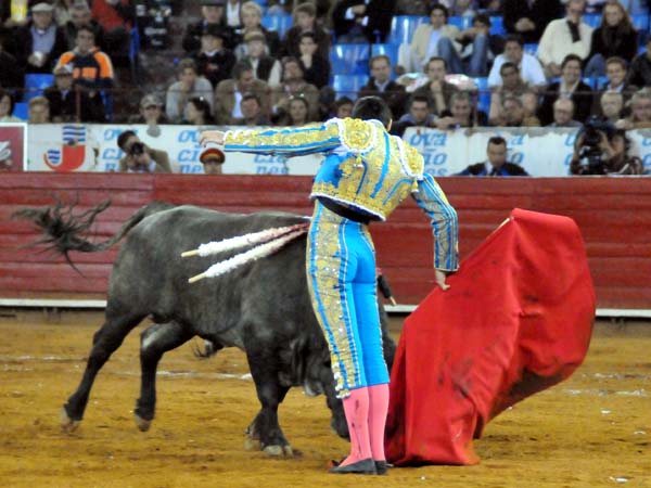 Faena plet�rica de vibraci�n