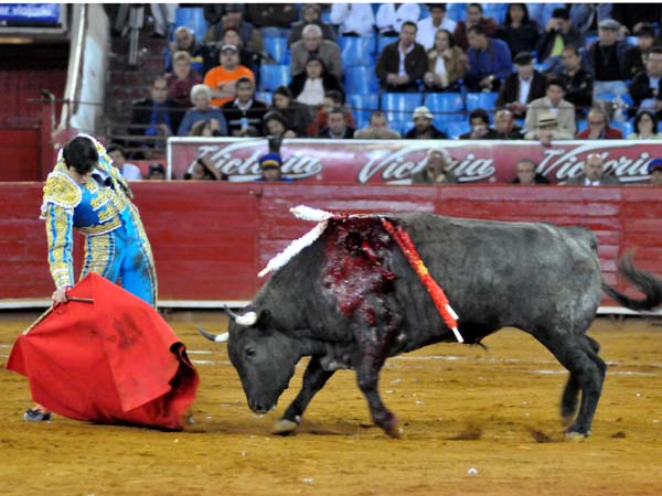 Ense�ore� su temple exagerado