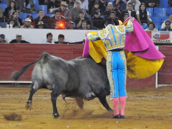 Se plant� con la misma fibra