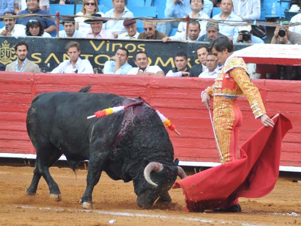 Toreado con los vuelos de la muleta