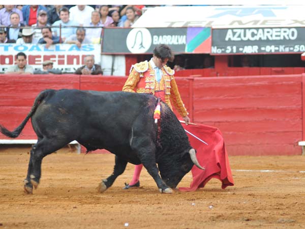 Sentimiento y  elegante gusto