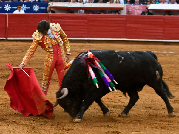 Acompa�ando (S.H.)