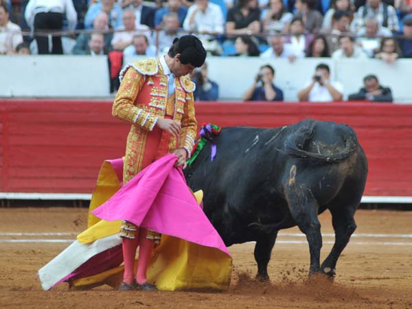 La media del artista