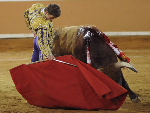 Suavidad en el trazo (D.B)