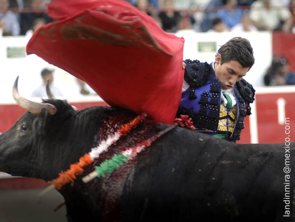 Ep�logo de manoletinas