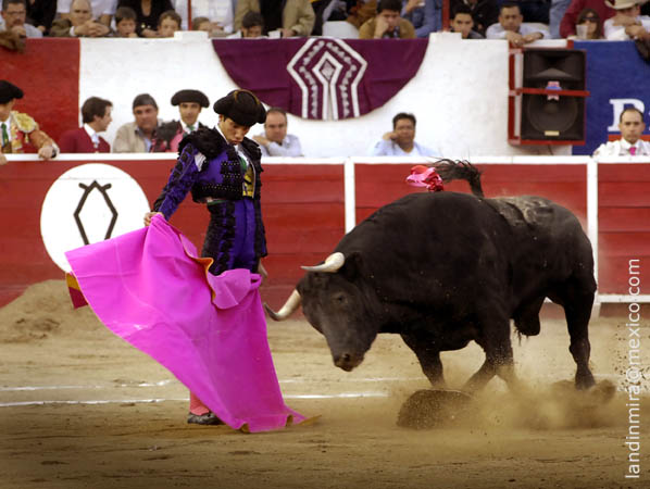 Mora, con su segundo