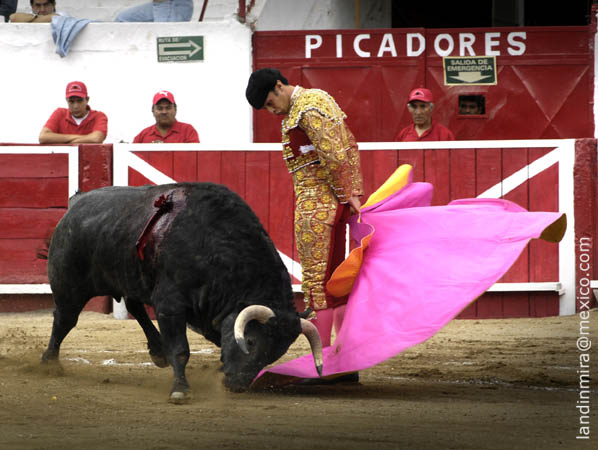 Revolera de Mart�nez