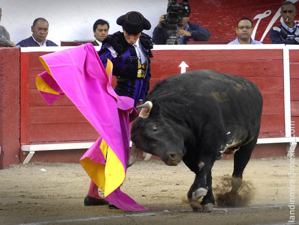 Ver�nicas de V�ctor