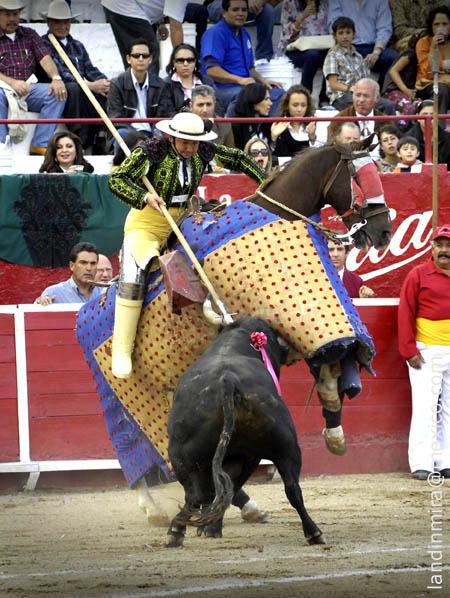 Levant�n a Salom�n