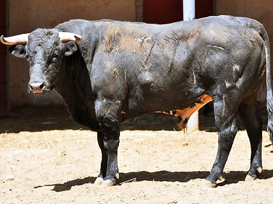 No. 27 (Jes�s Cabrera)