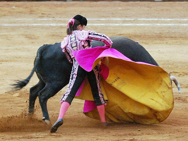 Dibujando la media ver�nica