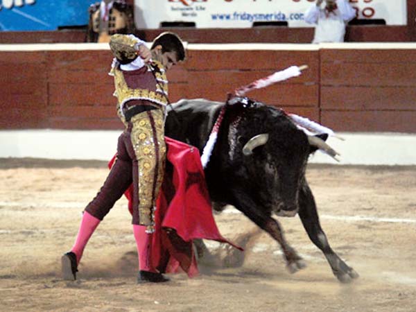 Una gran noche tuvo en M�rida