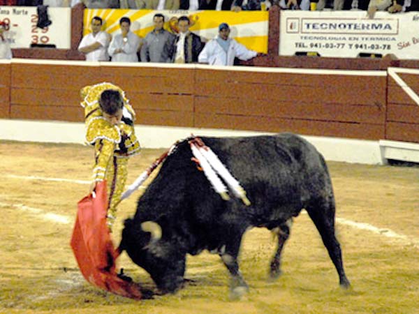 Acompa�ado la embestitda