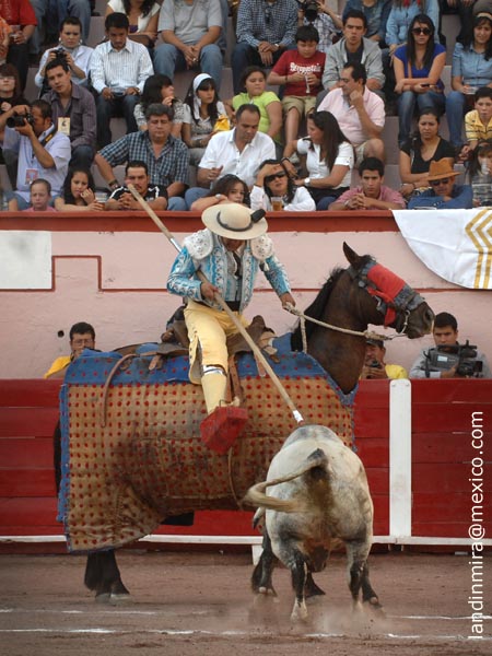 La vara de David V�zquez