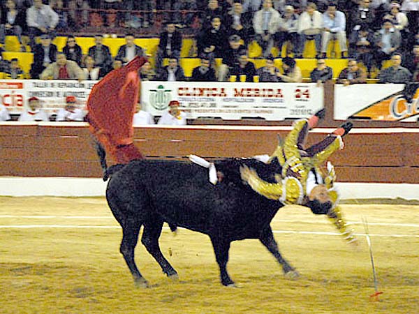 Espectacular  voltereta