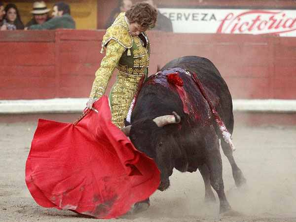 Embarr�ndose de toro